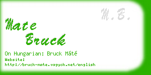 mate bruck business card