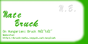 mate bruck business card